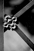 Wall_Art_Alphabet_Photography_Art_ 1168